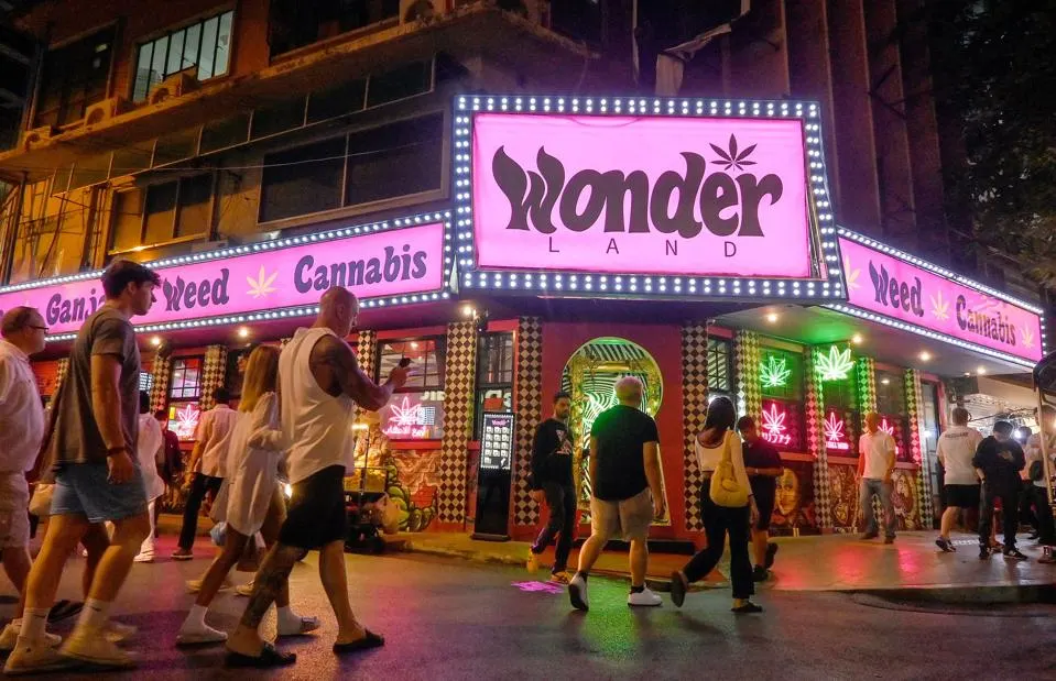 ● 泰国街头，随处可见大麻店