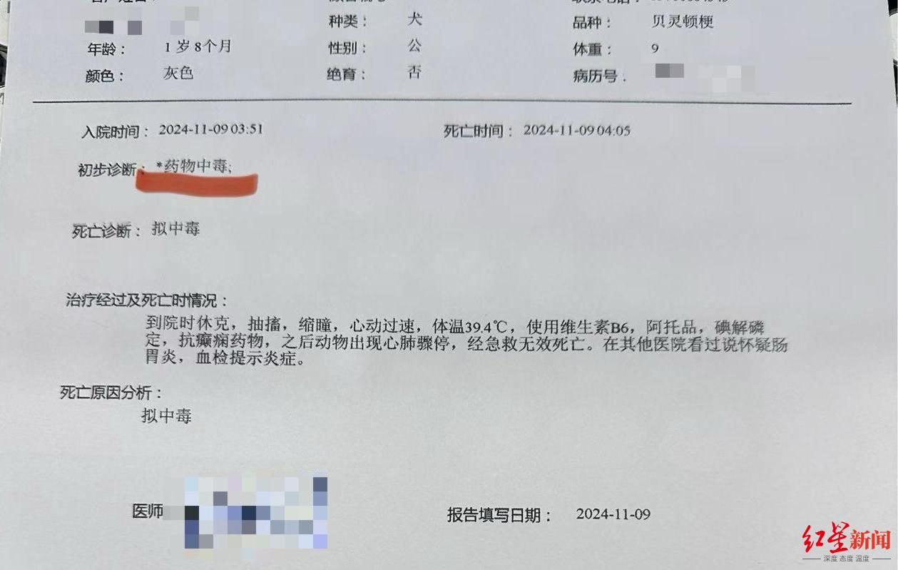 c447ac11a9c727ab38e9eb4ce3d571_副本.jpg