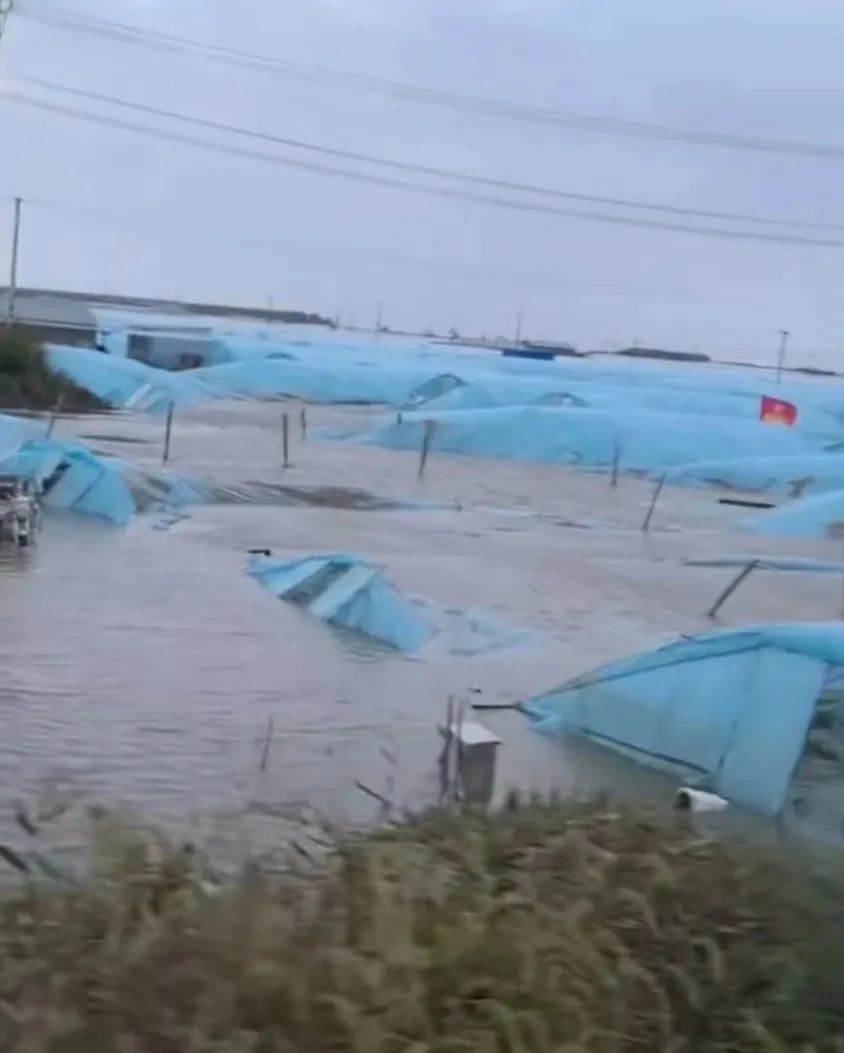 盘锦市二界沟沿海有街道遭遇海水倒灌，私家车浸泡在水中（受访者供图）