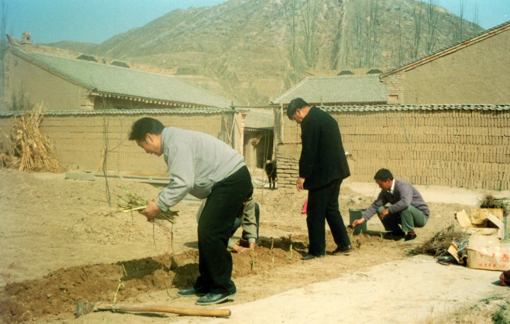 1997年4月，林占熺（左一）带领科研团队首次在宁夏彭阳县试种菌草。新华社发