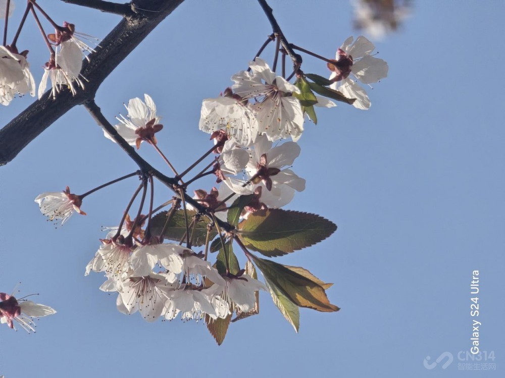 三星Galaxy S24 Ultra评测:演唱会新神器