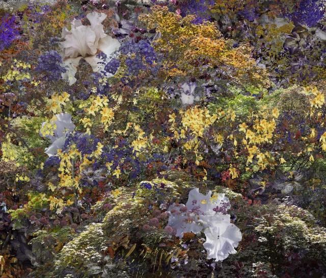 ▲ 《抽象 15》吉维尼系列,让·弗朗索瓦·赫奇耶,2024,图片© Jean-François Rauzier