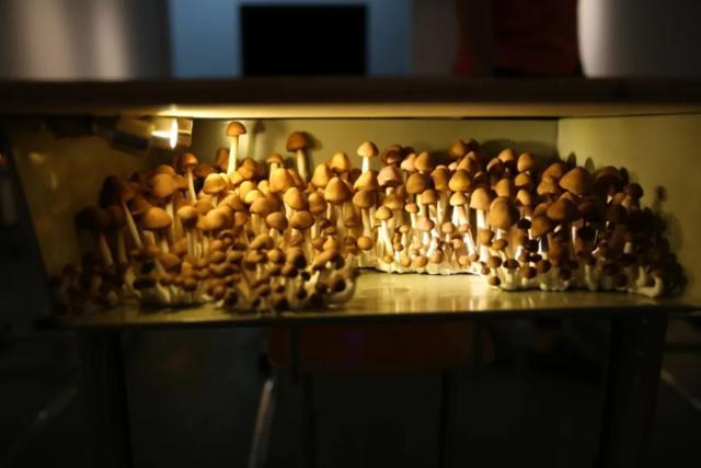 ▲ 李琳琳,《十日谈》局部细节