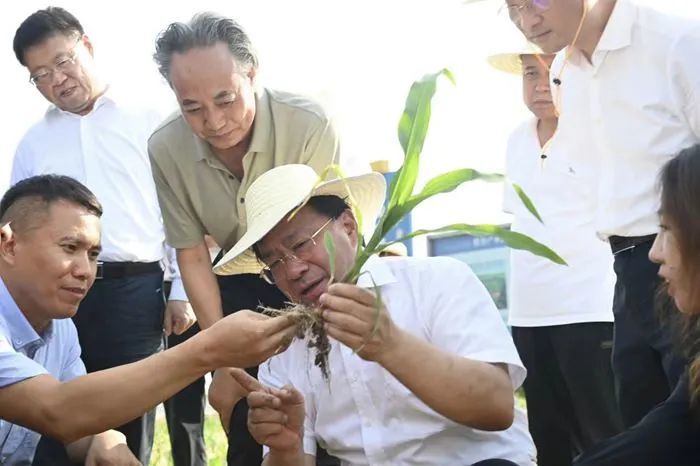 新任农业农村部党组书记韩俊在河北调研，向当地农业专家请教良策