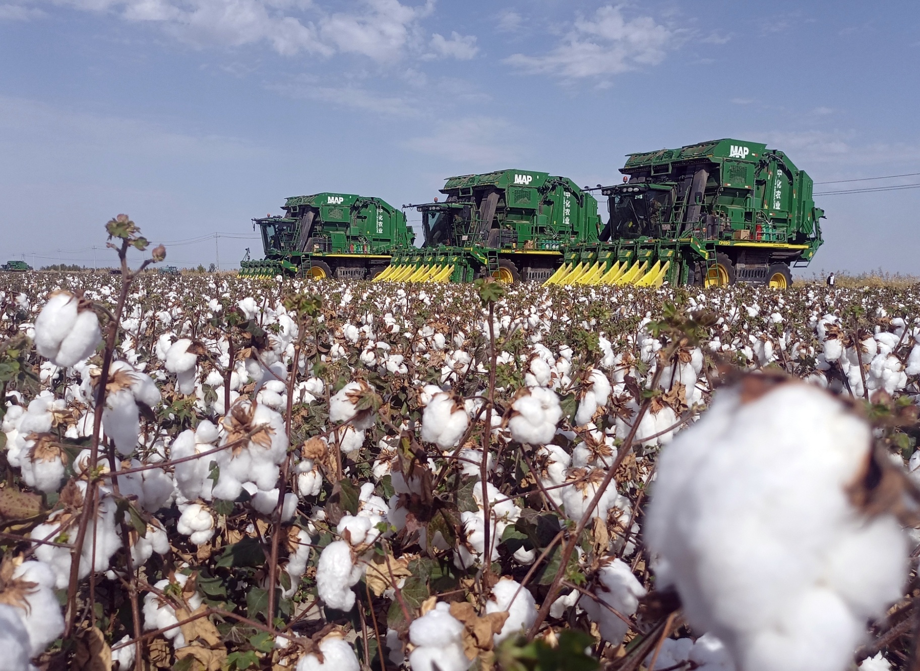 高质量发展看中国|"阿勒泰是新疆的一个缩影"还将打造国内顶级自驾