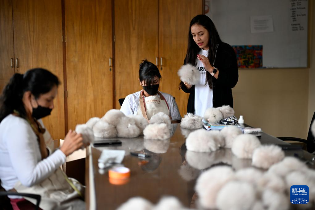 6月20日，在秘鲁阿雷基帕，马马尼与中方合作品牌的秘鲁合伙人亚历杭德拉·贝德雷加尔（右一）检查羊驼玩偶。新华社记者 李木子 摄
