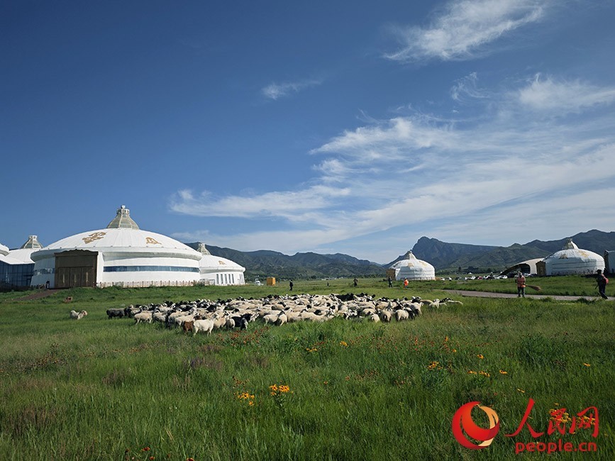 敕勒川草原.人民网记者 刘艺琳摄