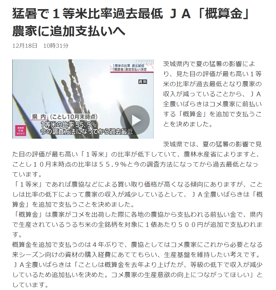 NHK新闻