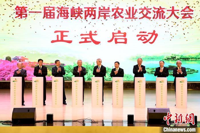 2023年10月24日，第一届海峡两岸农业交流大会在福建省漳平市开幕。　中新社记者 张金川 摄
