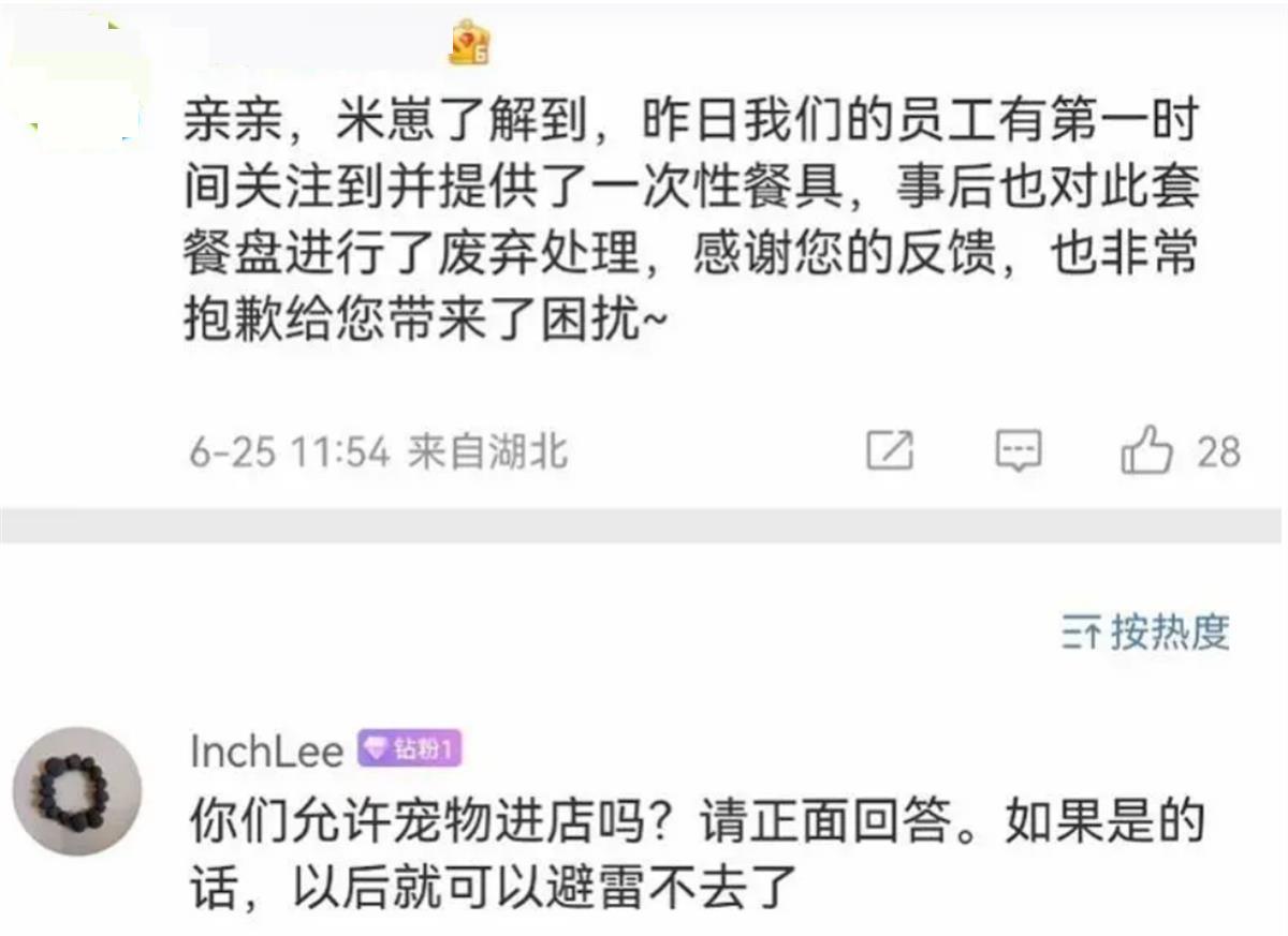 A顾客与宠物狗共用餐具3.png