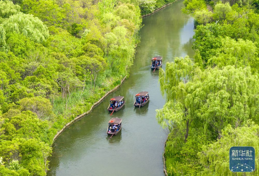 4月27日，游客在江苏省泰州市姜堰区溱湖国家湿地公园乘船游玩（无人机照片）。新华社发（周社根摄）