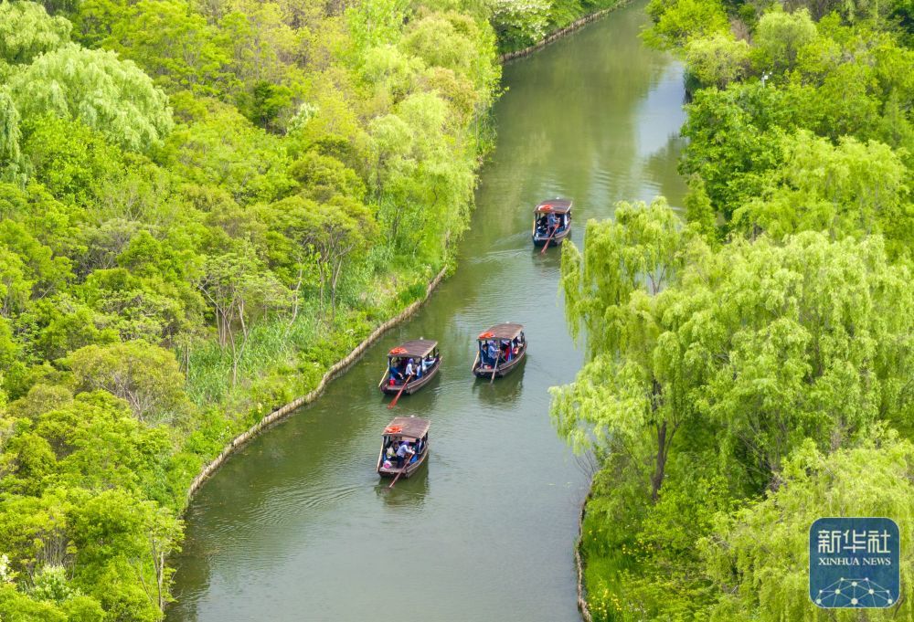 4月27日,游客在江苏省泰州市姜堰区溱湖国家湿地公园乘船游玩(无人机