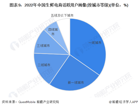 图表9:2022年中国生鲜电商活跃用户画像(按城市等级)(单位:%)