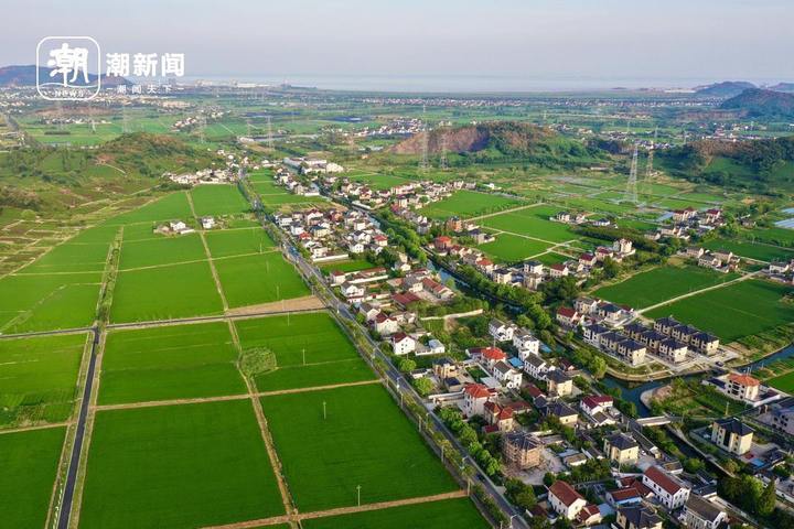 海盐县通元镇雪水港村。记者 王志杰 摄