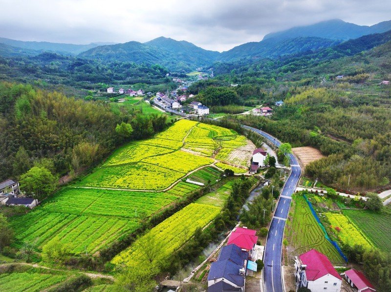 2023年1月4日，重庆市，永川区纪委监委驻卫生健康委纪检监察组深入镇卫生院与村卫生室开展监督检查监督检查药物储备、医疗资源使用等情况（图片来源：IC photo）