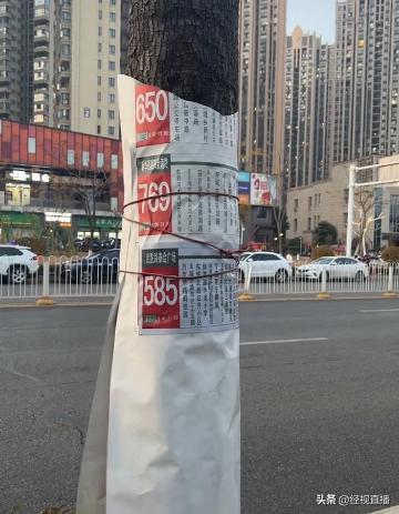 图/网络截图
