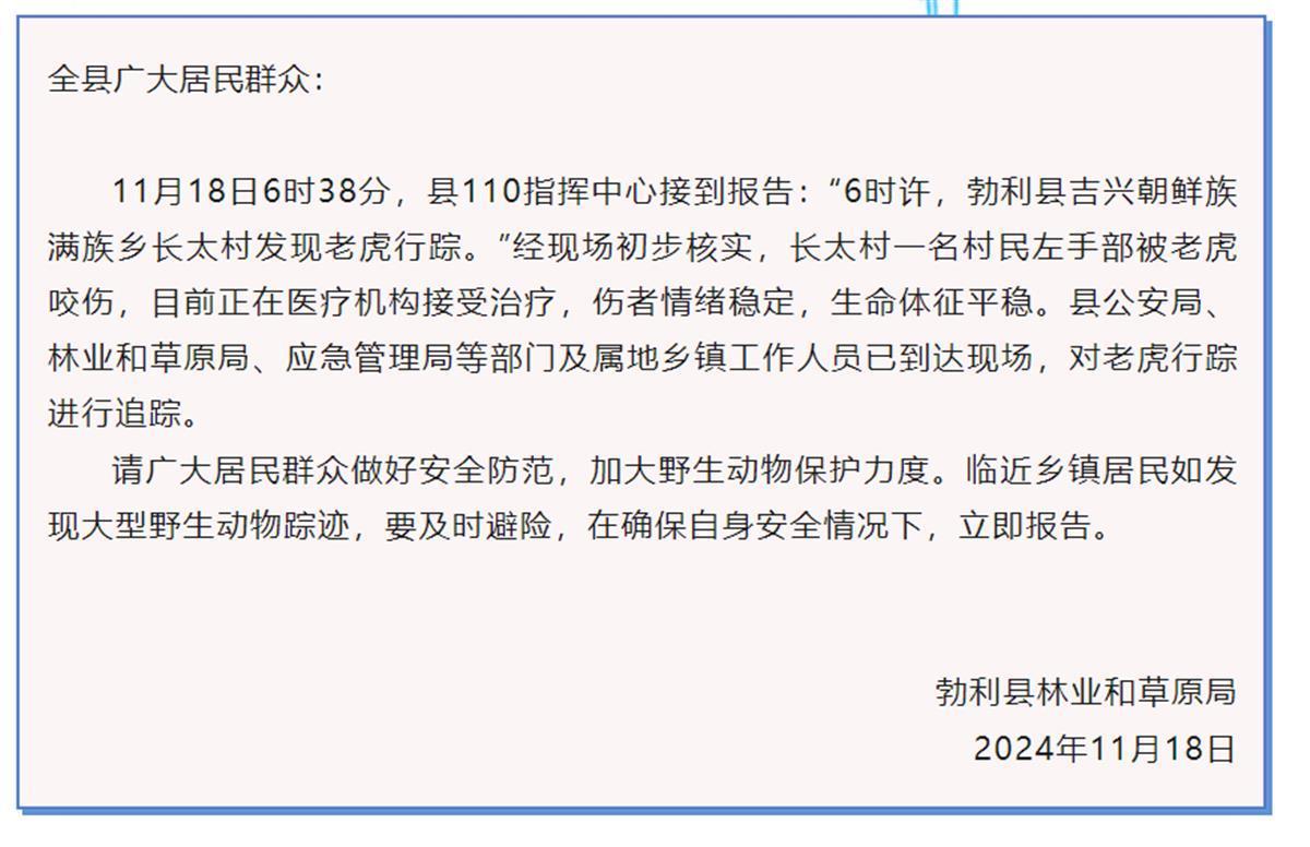 野生东北虎冲撞民宅咬伤村民！“人虎冲突”频发，应对之策也要升级