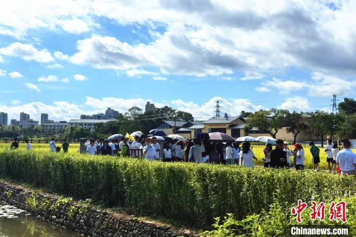 7月19日，在“红色故都”江西瑞金，众多游客参观红井革命旧址群。吴鹏泉 摄