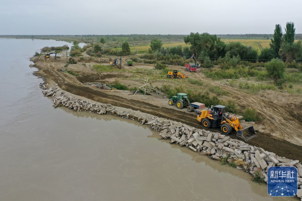↑在新疆阿克苏地区沙雅县盖孜库木乡吐央村，抢险人员驾驶大型机械进行堤坝加固（8月3日摄，无人机照片）。新华社记者 丁磊 摄