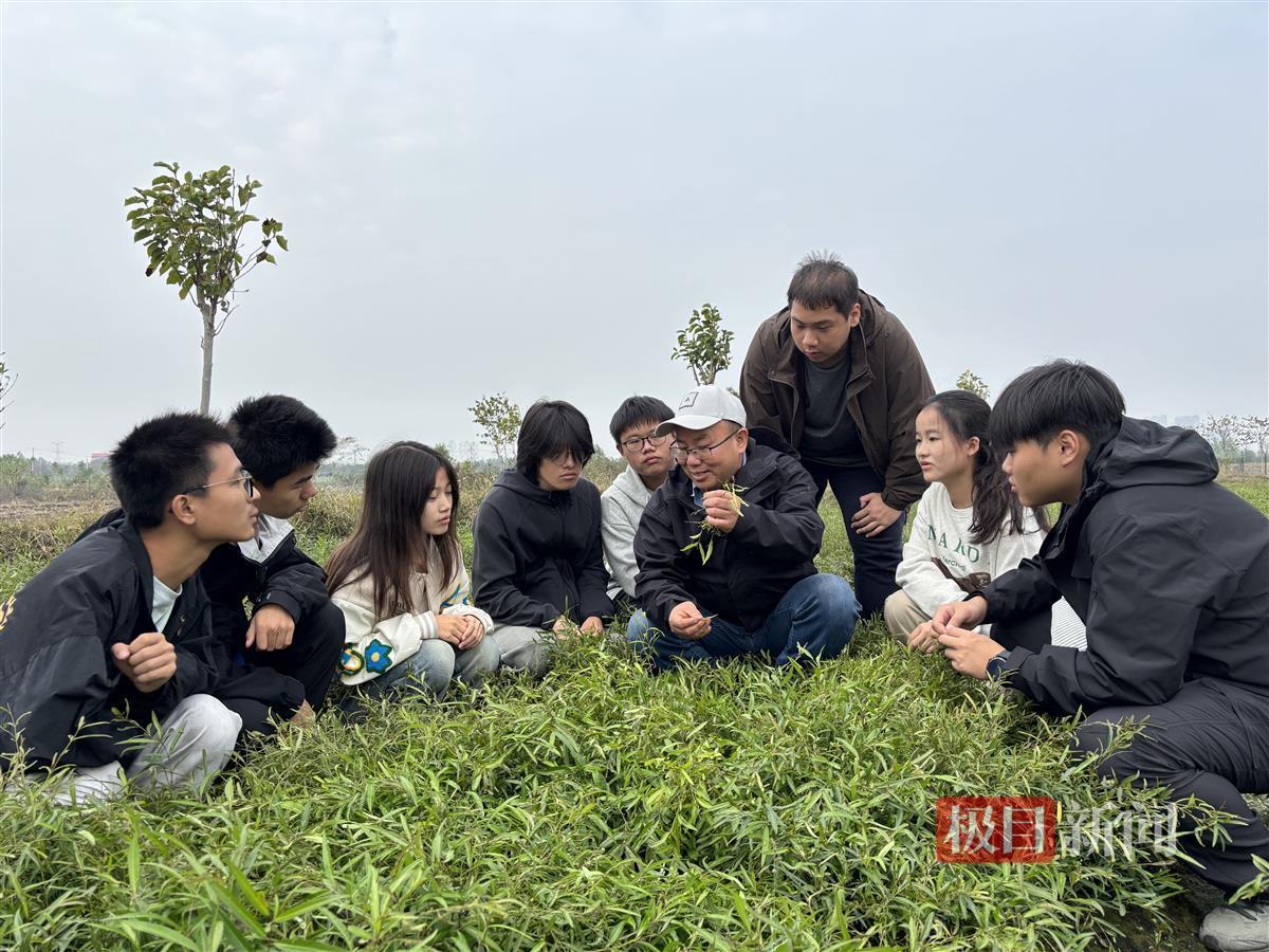 图片11.png