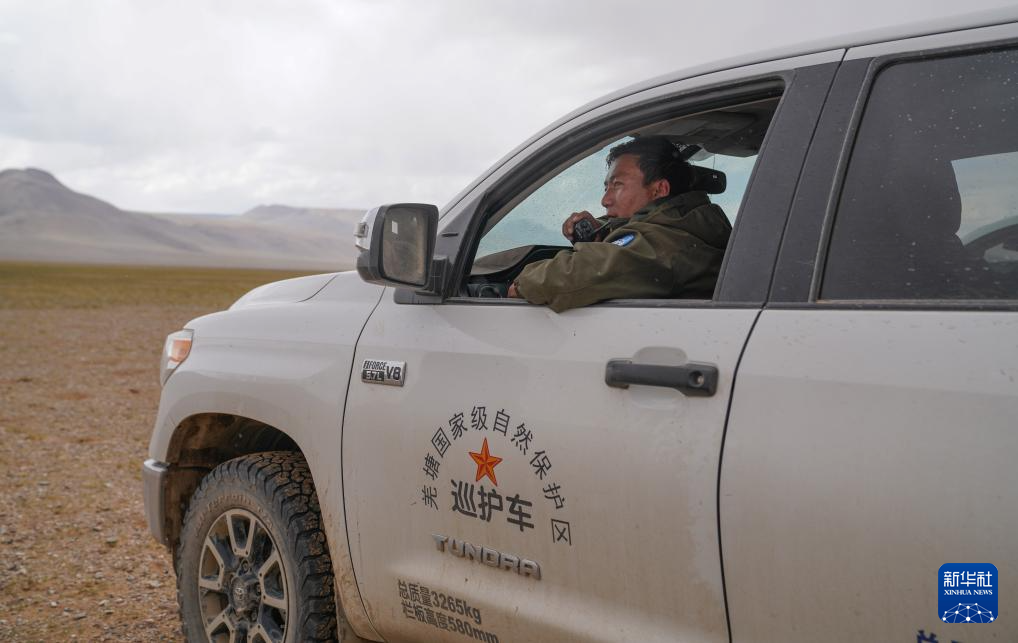 6月15日，羌塘国家级自然保护区野生动物专业管护队员罗布通过对讲机联系巡逻路上的队员。新华社记者 晋美多吉 摄