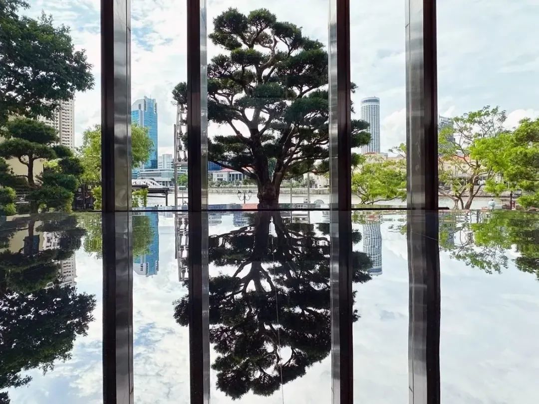 亿万富豪黄一宗，对年轻人动手了_凤凰网