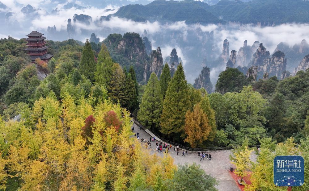 10月14日拍摄的湖南张家界国家森林公园天子山秋景（无人机照片）。新华社发（吴勇兵摄）