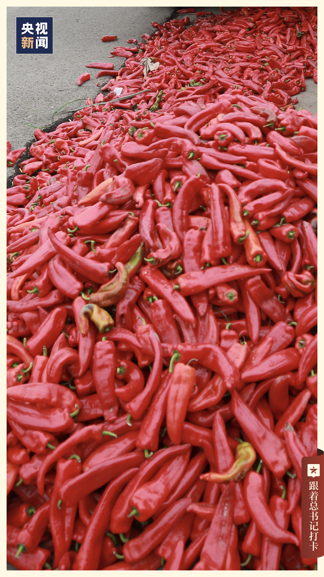 「宁夏」，你可太宝藏了