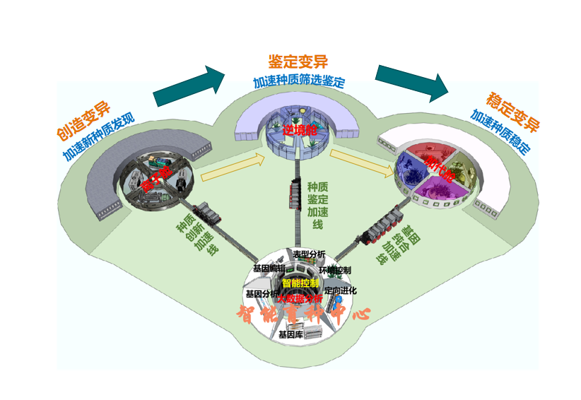 合肥智能育种加速器建设方案示意图。（受访者供图）