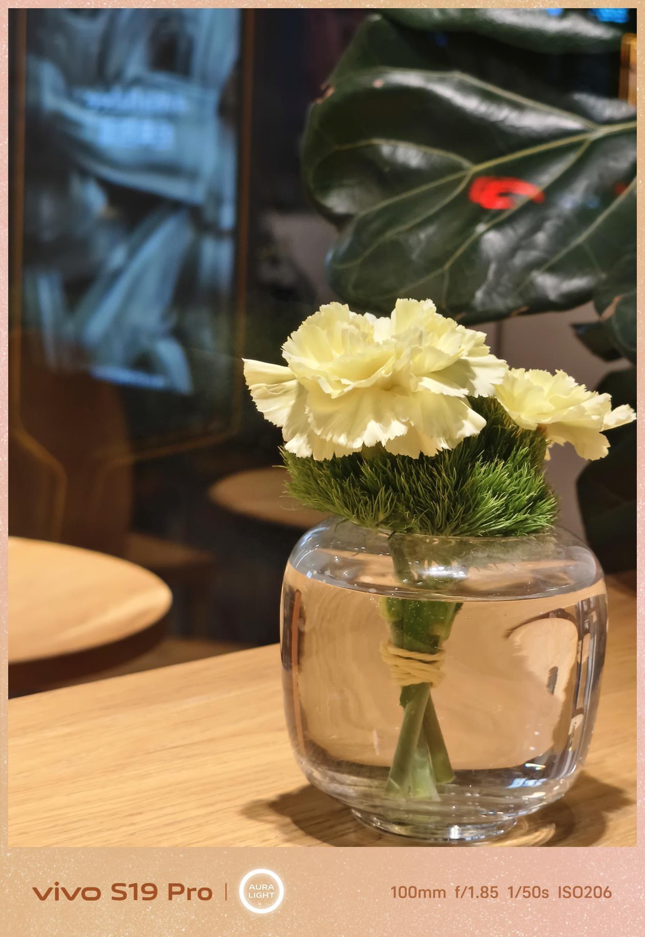 vivo S19 Pro全面评测 光的艺术,更进一步