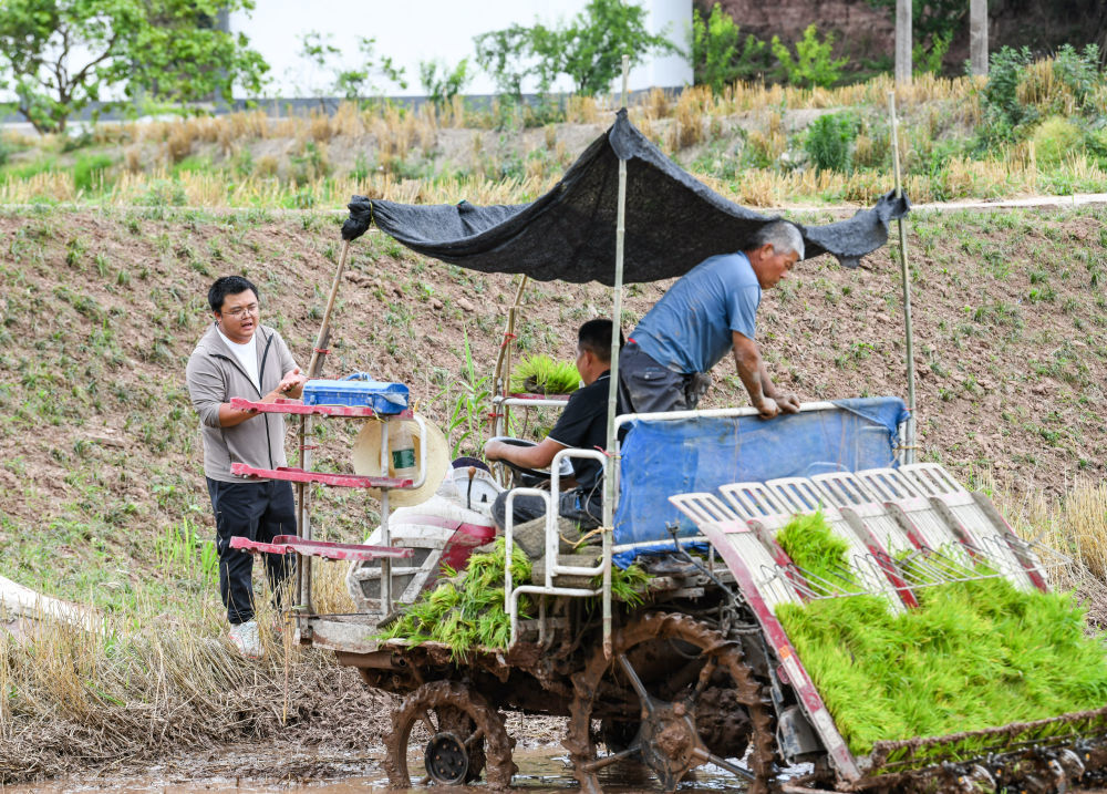 在四川成都东部新区董家埂镇小河村，舒星宇（左）在和插秧机手沟通机插秧的注意事项（5月15日摄）。