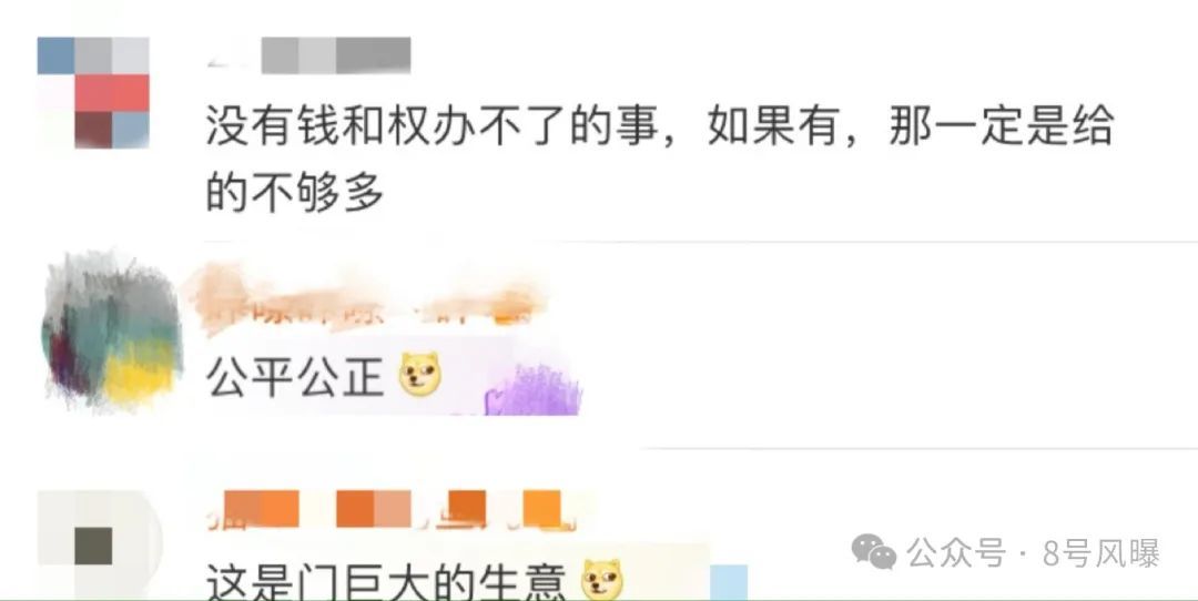 李雪琴被指造假搞特权背后，是普通人的权利被无情剥夺