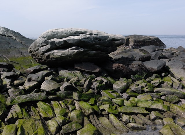 站在岩石上描述已自动生成