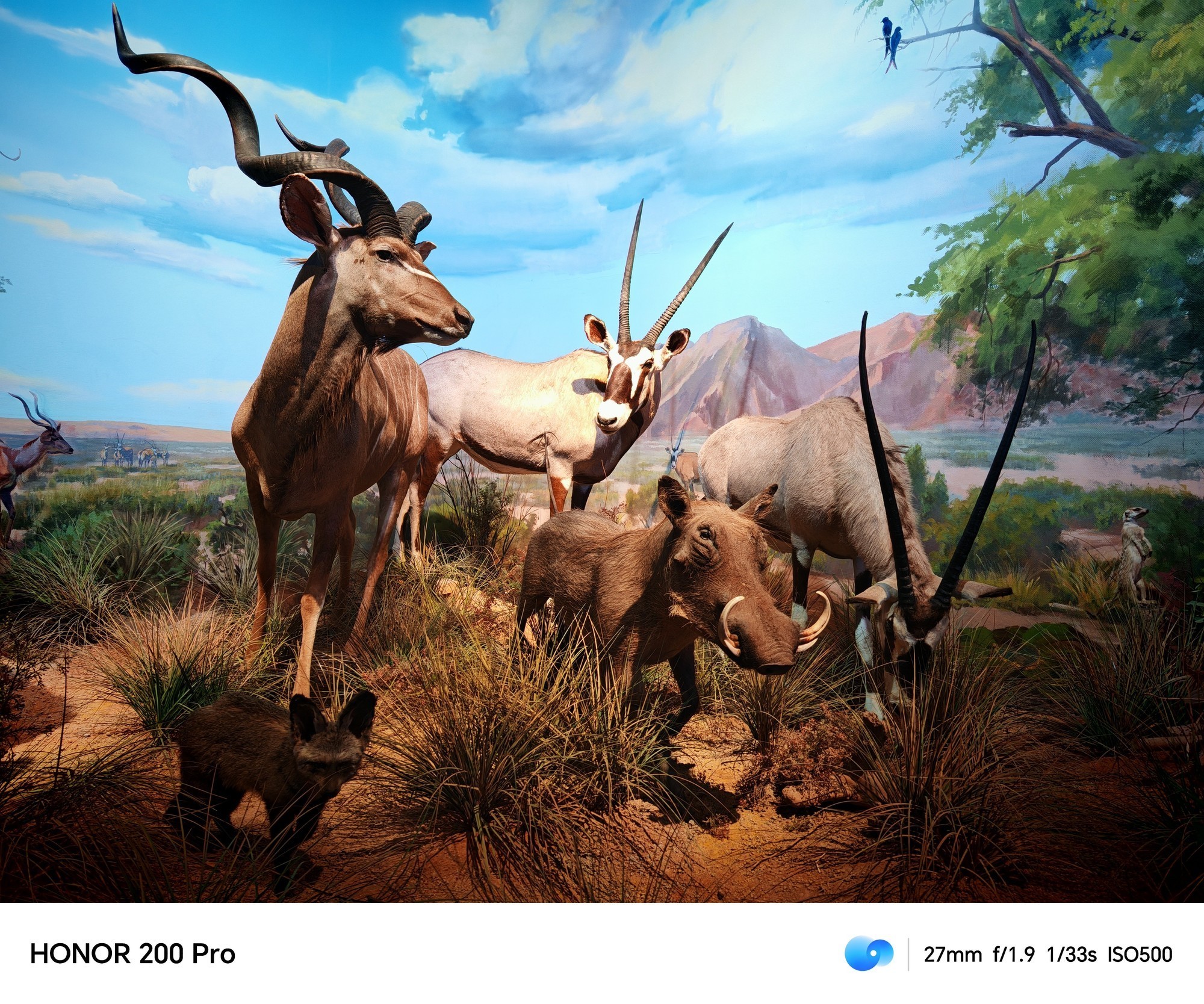 用AI重构手机人像摄影 荣耀200 Pro上手体验