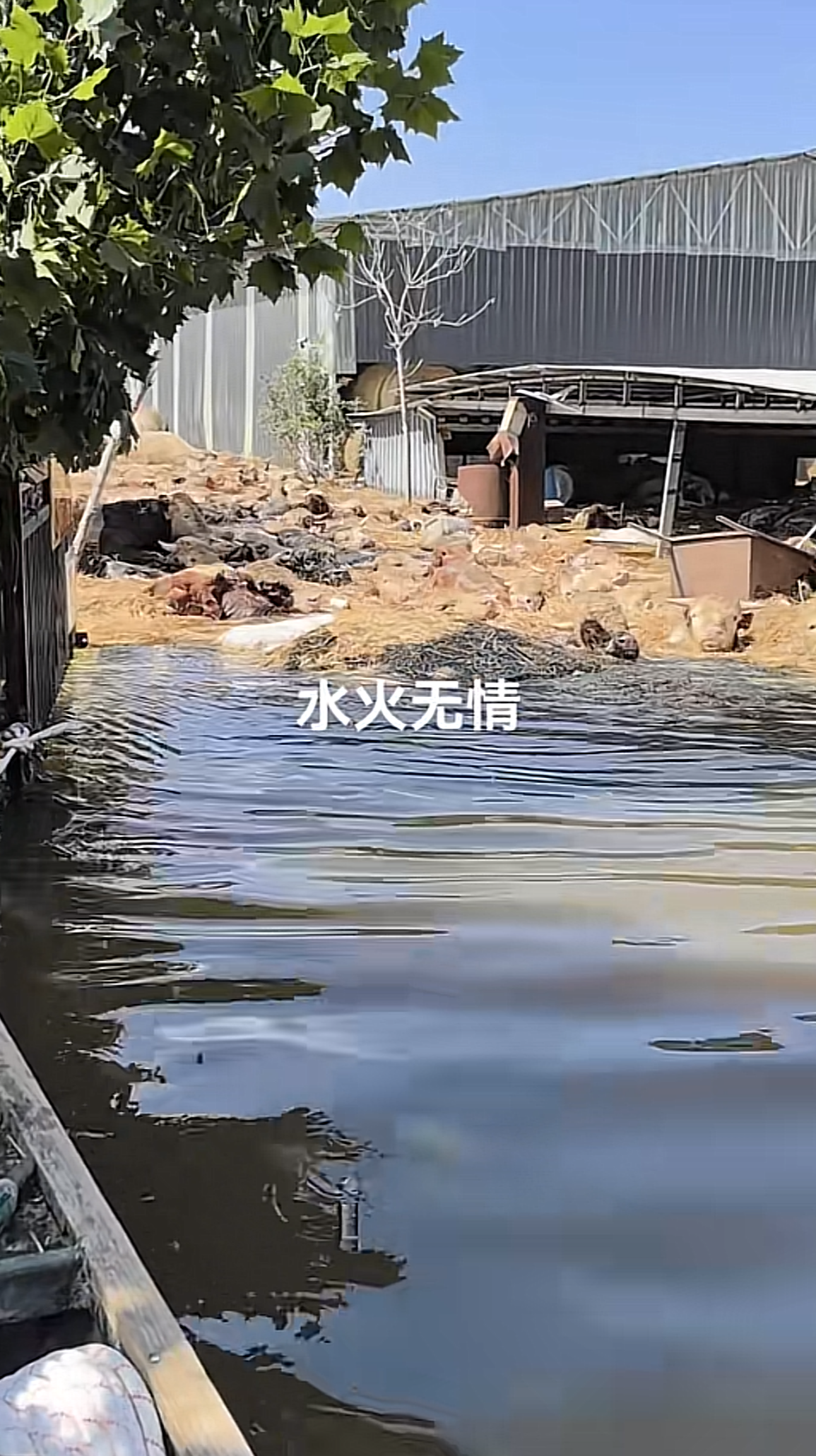 微信图片_20240923180935.png