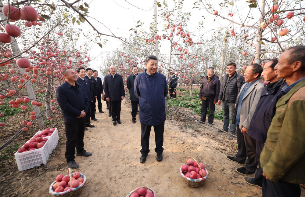 2022年10月26日，习近平总书记在陕西延安市安塞区高桥镇南沟村苹果园同老乡们亲切交流。新华社记者 鞠鹏 摄