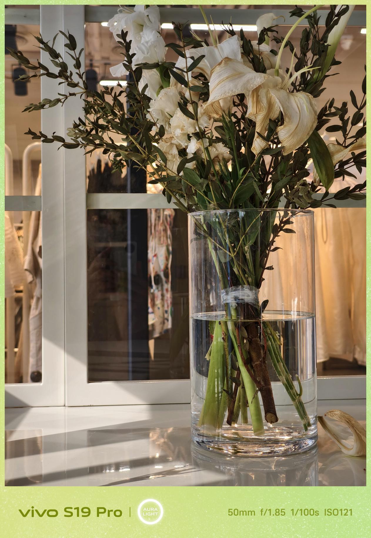 vivo S19 Pro全面评测 光的艺术,更进一步