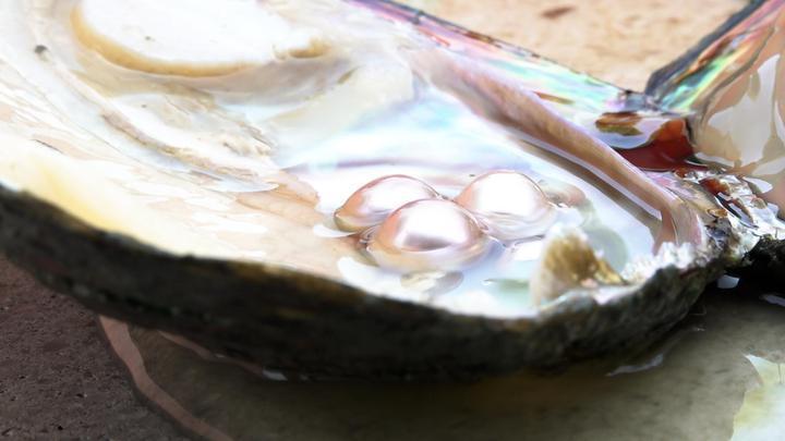 图为山下湖镇珠农养殖的珍珠。新华社记者 刘铭翔 摄