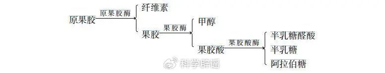 柿子不能和鱼、虾、蟹、牛奶、红薯等同食？会得胃结石？