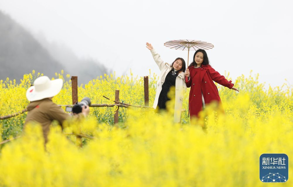 游客在贵州省铜仁市玉屏侗族自治县朱家场镇混寨村油菜花田拍照