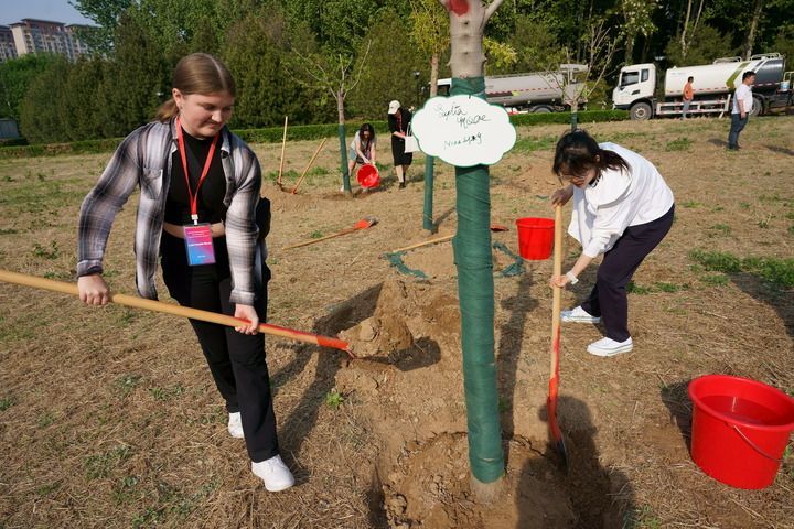 4月20日,美国马斯卡廷中学学生与石家庄外国语学校学生在河北正定的“中美友谊传承青年林”共同植树。新华社记者 张粲 摄