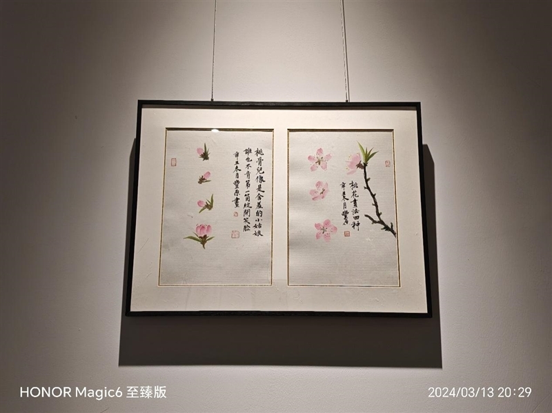 荣耀Magic6 至臻版全面评测:真正无短板的顶级旗舰