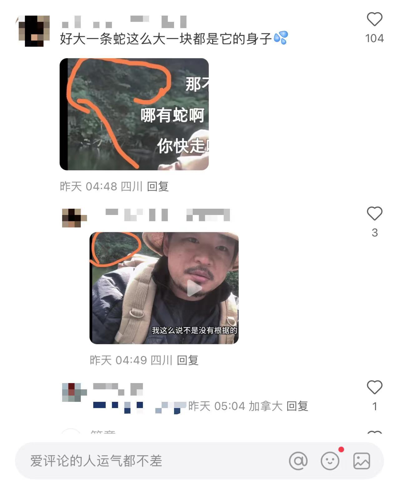 博主独闯哀牢山“被大量凶兽盯上”？当事人回应：是树根