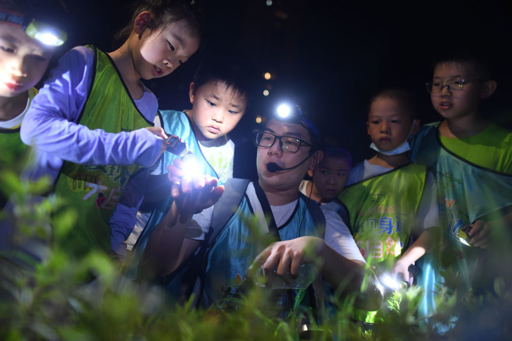 2024年7月6日晚,在武汉市颐湖公园,孩子们在自然导师带领下夜观昆虫。