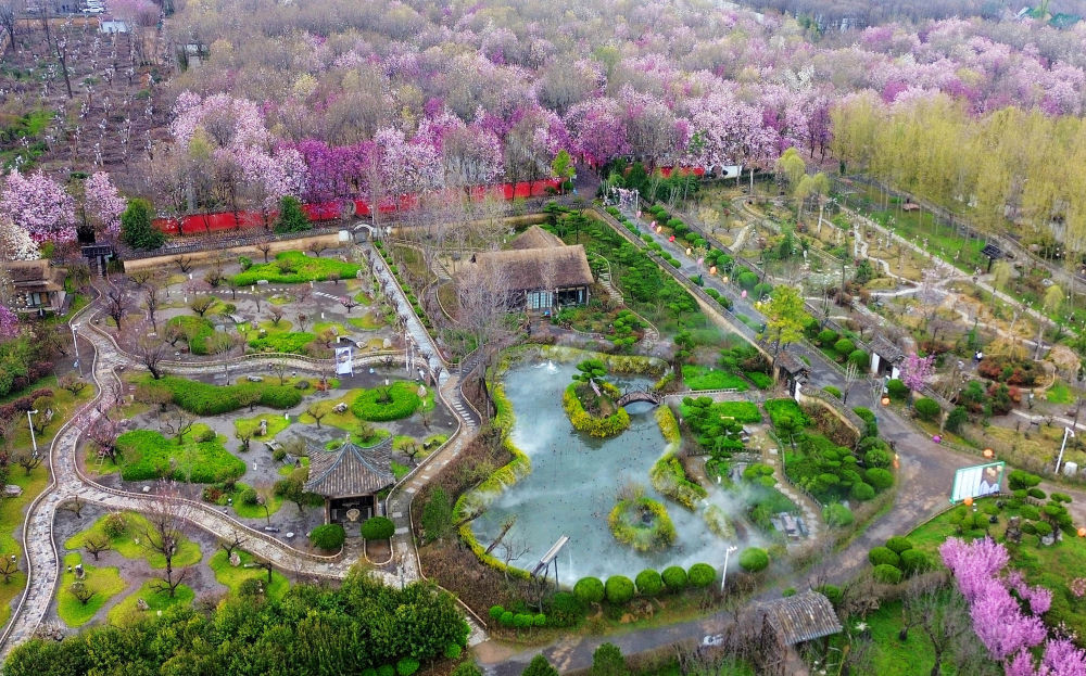 这是3月28日拍摄的位于河南省鄢陵县的一处园林(无人机照片)。新华社发(王永涛摄)