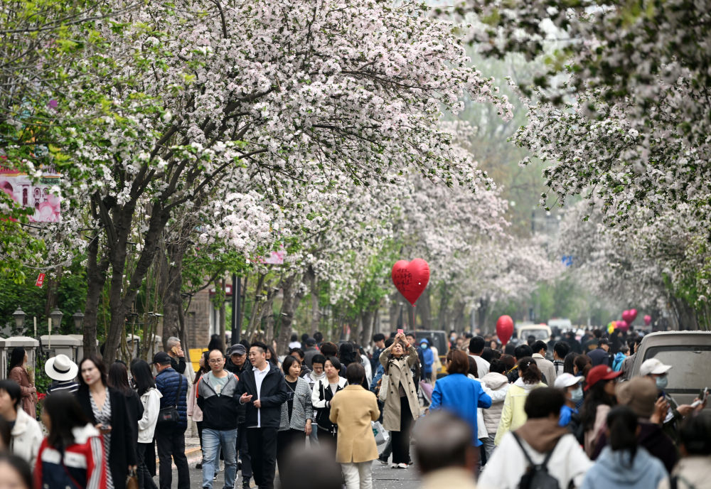 游人在天津市和平区五大道漫步赏花（4月10日摄）。
