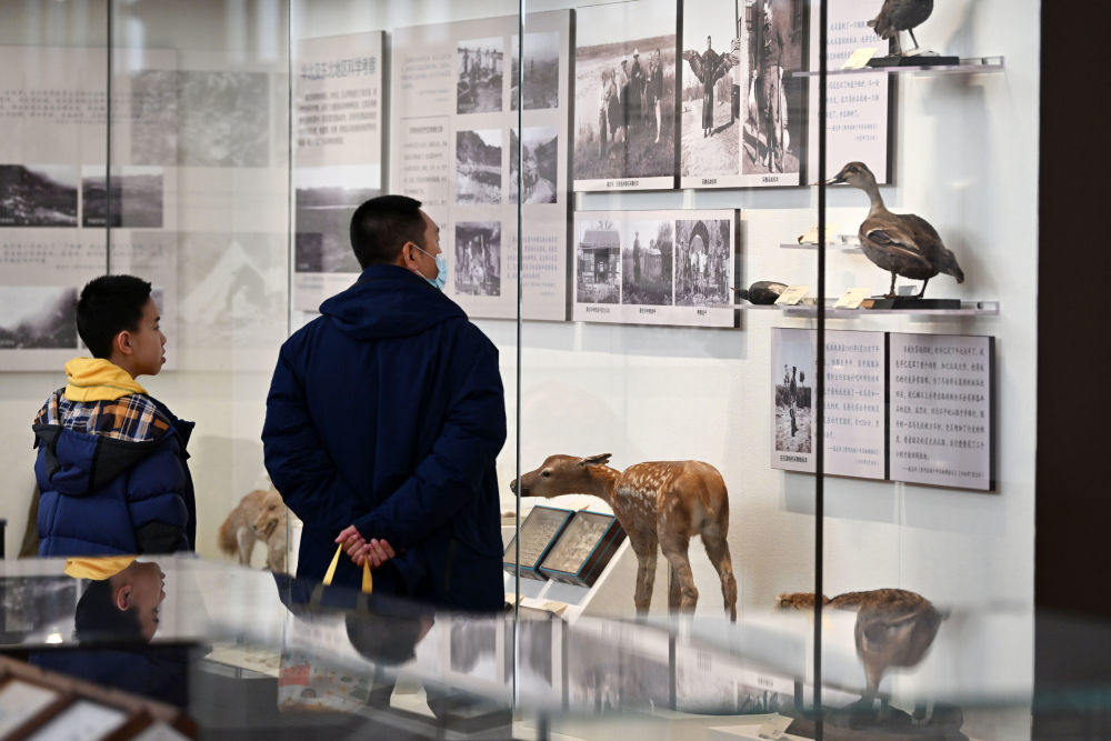 1月27日，游客在北疆博物院内参观。新华社记者李然摄