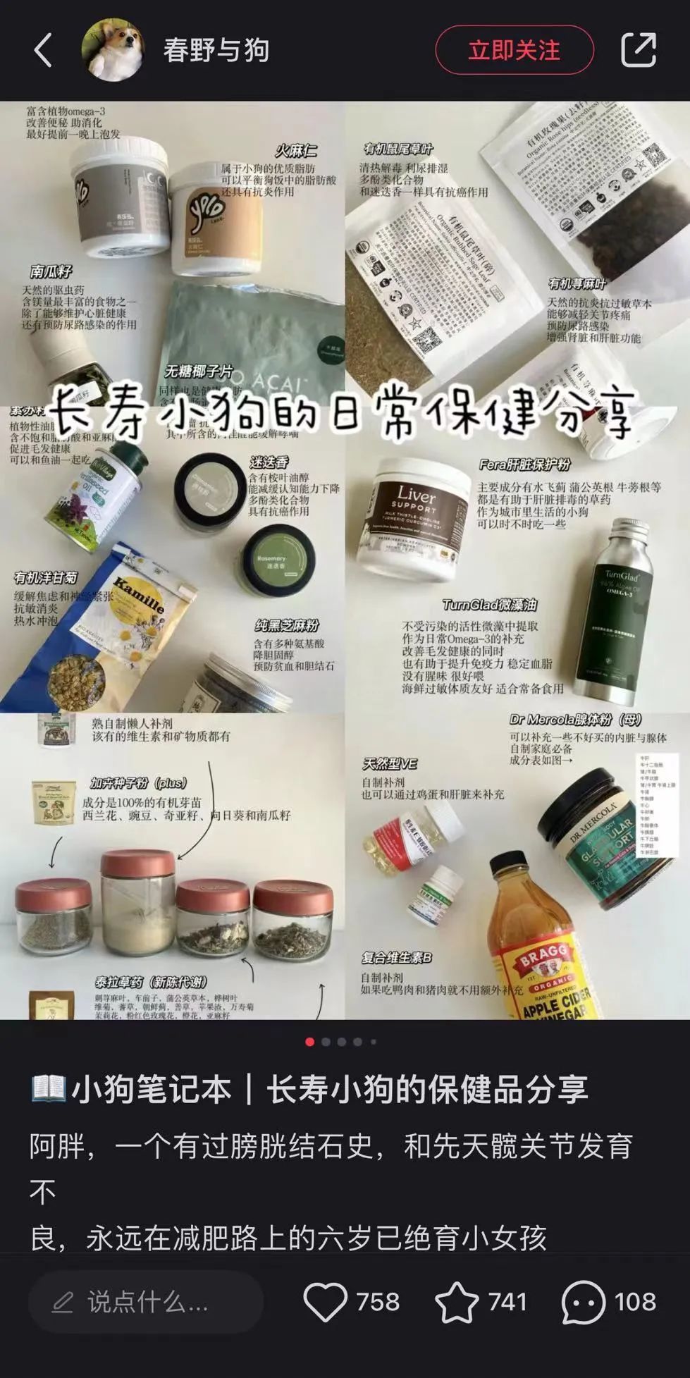 小红书上充斥着各种宠物保健品帖子。（图/网络截图）