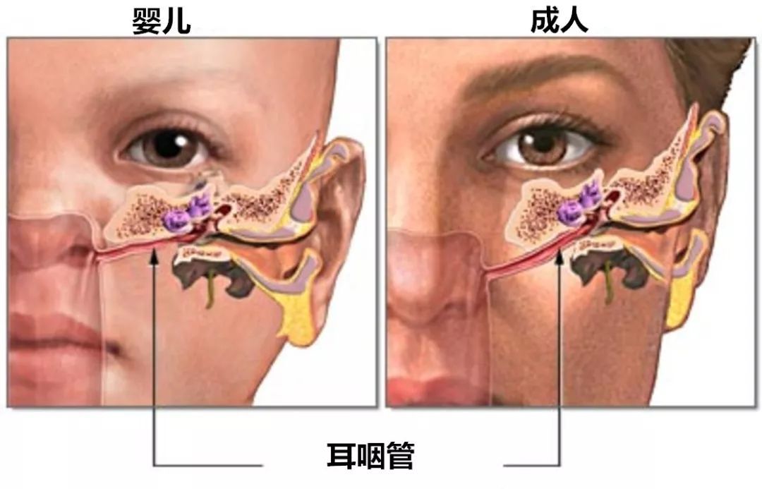 两女子把婴儿关厕所“教育”冲上热搜！飞机上婴儿哭闹，到底该不该被谴责？