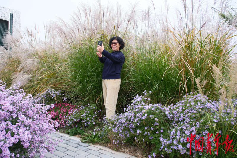 北京建设花园城市 老百姓“转角遇见美景”